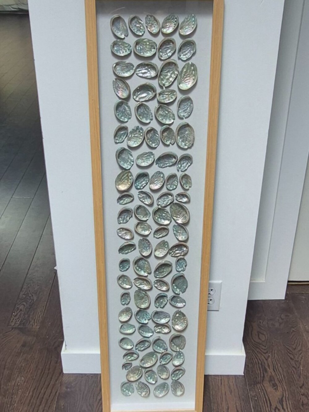 Abalone Shell Dispay (85 Shells) Mother of Pearl
